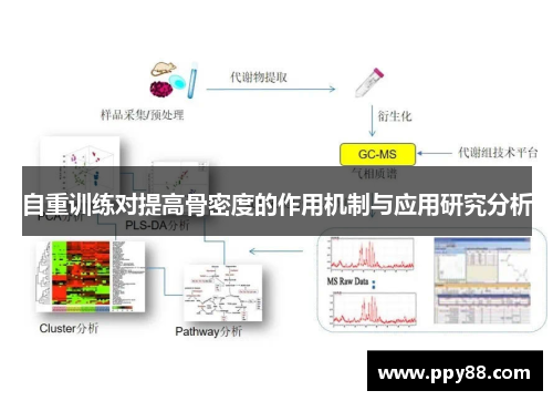 自重训练对提高骨密度的作用机制与应用研究分析